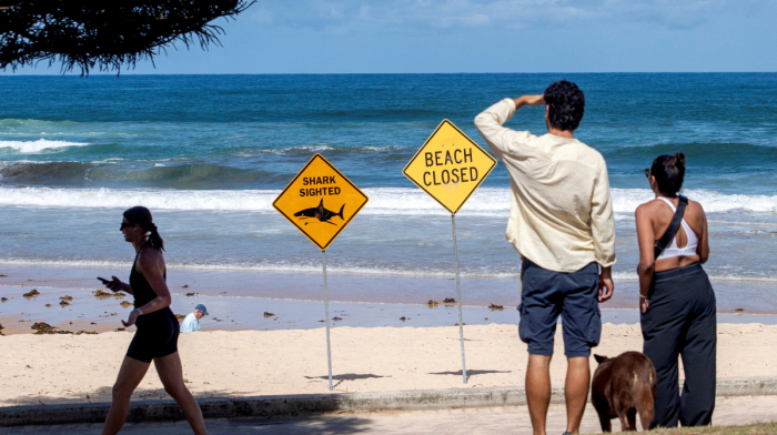 Australia shuts dozens of east coast beaches after 4 shark attacks