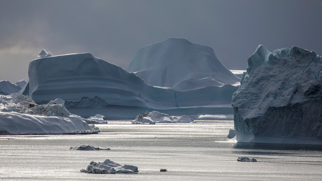 Greenland boosts defence presence amid Trump's annexation demand