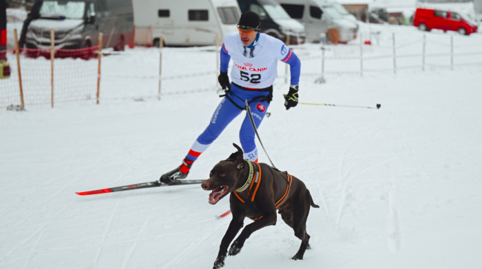 Dog sled championship turns Ladova Park into winter spectacle in Slovakia