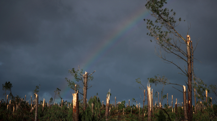 Portugal counts multi-billion euro damage after Storm Kristin
