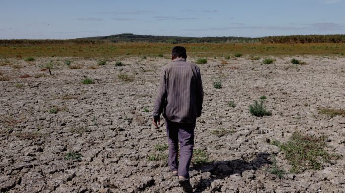 Türkiye faced one of worst droughts in 50 years, expert warns