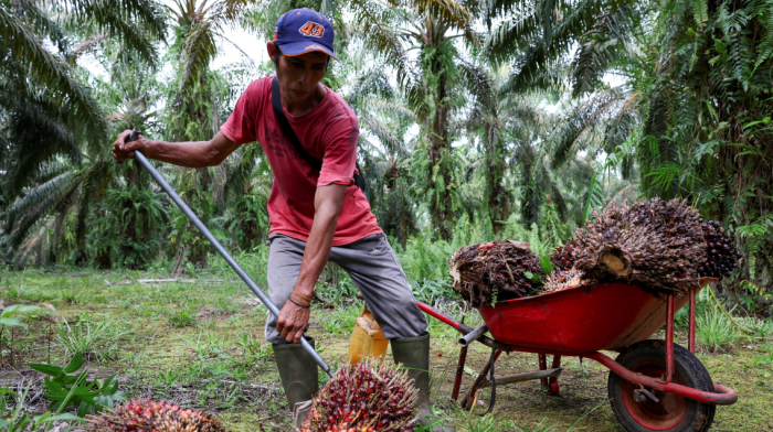 Indonesia, U.S. finalise trade pact cutting tariffs to 19%, palm oil among key exemptions