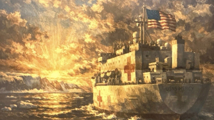 Trump plans to send hospital ship to Greenland