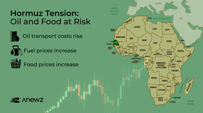 Middle East conflict casts a long shadow over Africa's fuel and food supply