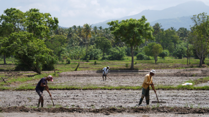 How the war in Iran is disrupting fertiliser supplies and raising food security risks