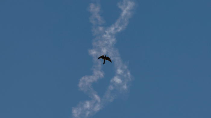 Trump urges more international support as U.S. and Israel continue operations in Iran - Latest on Middle East crisis