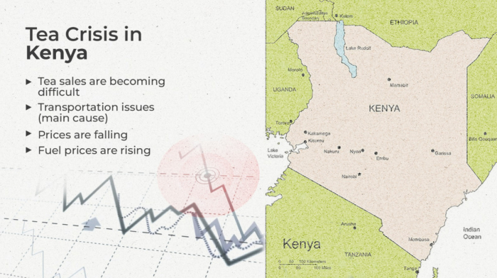 Middle East conflict sends shockwaves through Kenya's tea industry