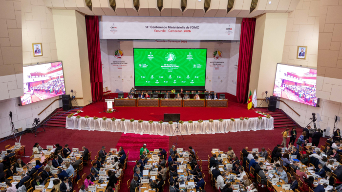 WTO suffers fresh blow as reform push hits a wall at Cameroon meeting