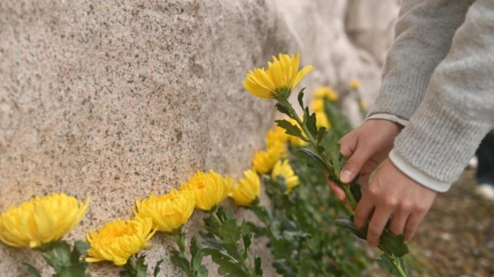 China honors fallen heroes with nationwide Qingming tributes