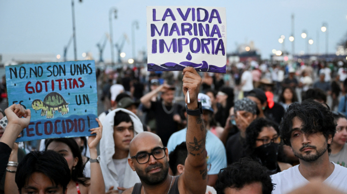 Mexicans protest as activists say Gulf of Mexico oil spill has killed wildlife and destroyed reefs