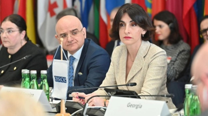 Georgia assumes OSCE security forum chair amid rising tensions