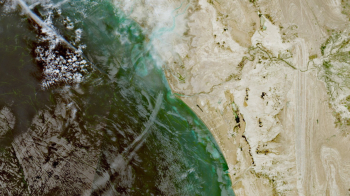 European logistics firms buoyed by Middle East disruption but demand risks loom