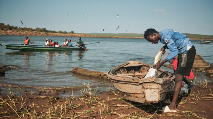 Explainer: How El Niño could impact the global weather in 2026-2027
