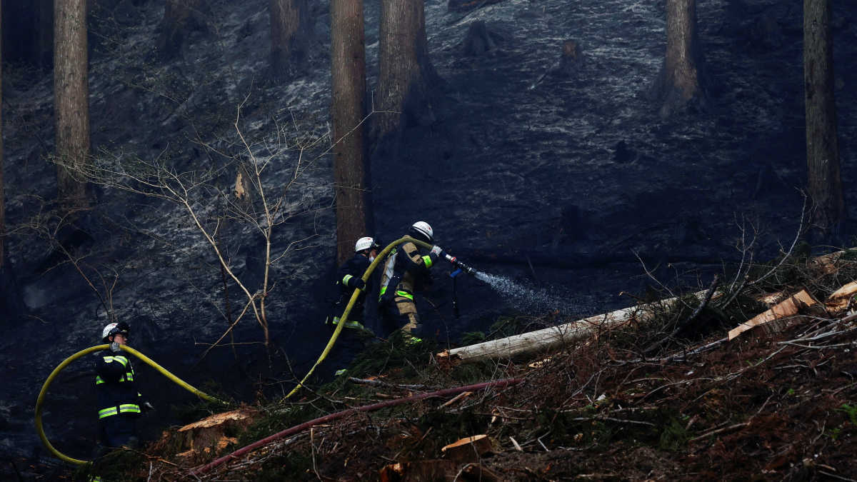 Northern Japan wildfires: Thousands flee homes as firefighters battle flames