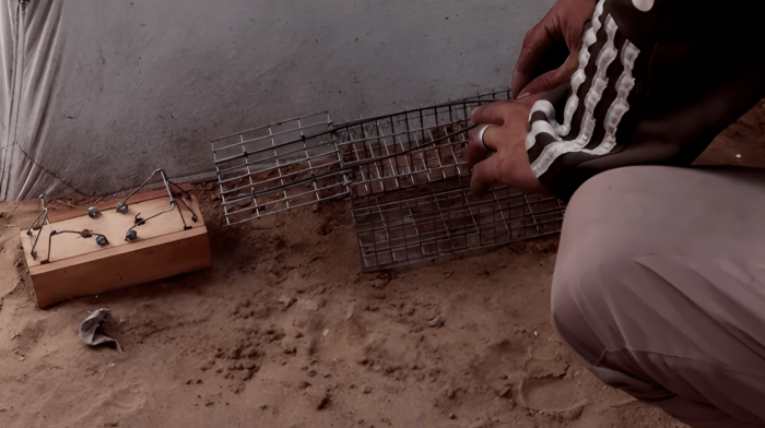 Rat infestations spread through Gaza camps as sanitation crisis worsens