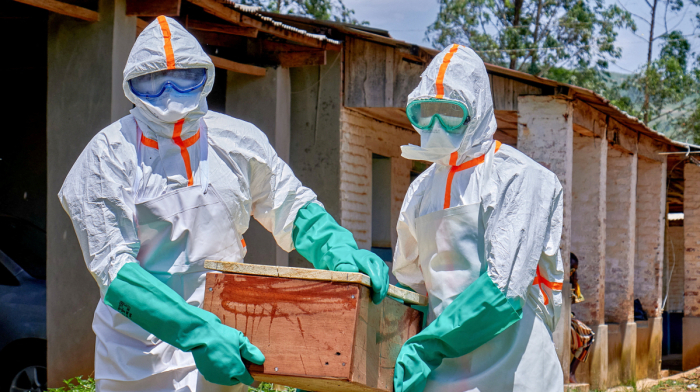 WHO chief says 200 suspected Ebola deaths have been recorded in eastern DRC