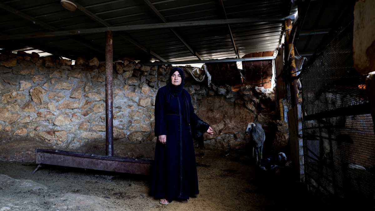 Sheep theft ruins Eid celebrations for Palestinian shepherd in West Bank raid