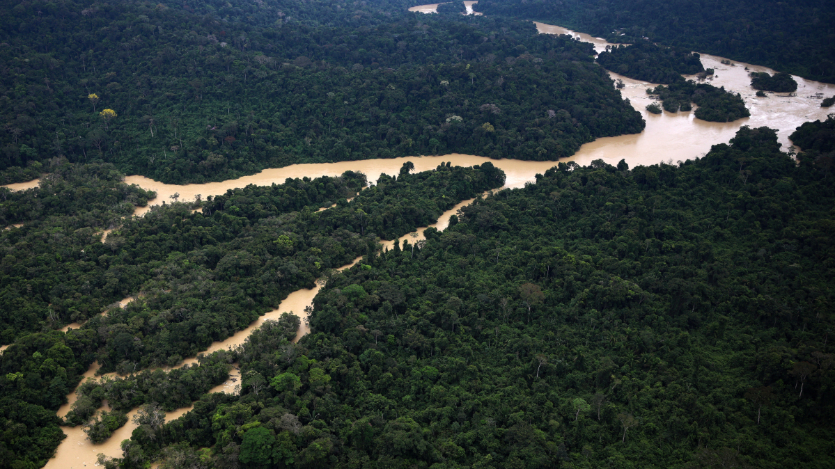 Illegal Amazon gold trade worth billions persists despite Lula crackdown, Greenpeace finds