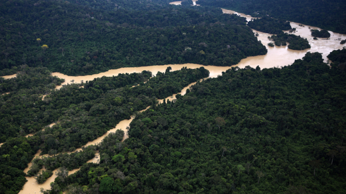 Illegal Amazon gold trade worth billions persists despite Lula crackdown, Greenpeace finds