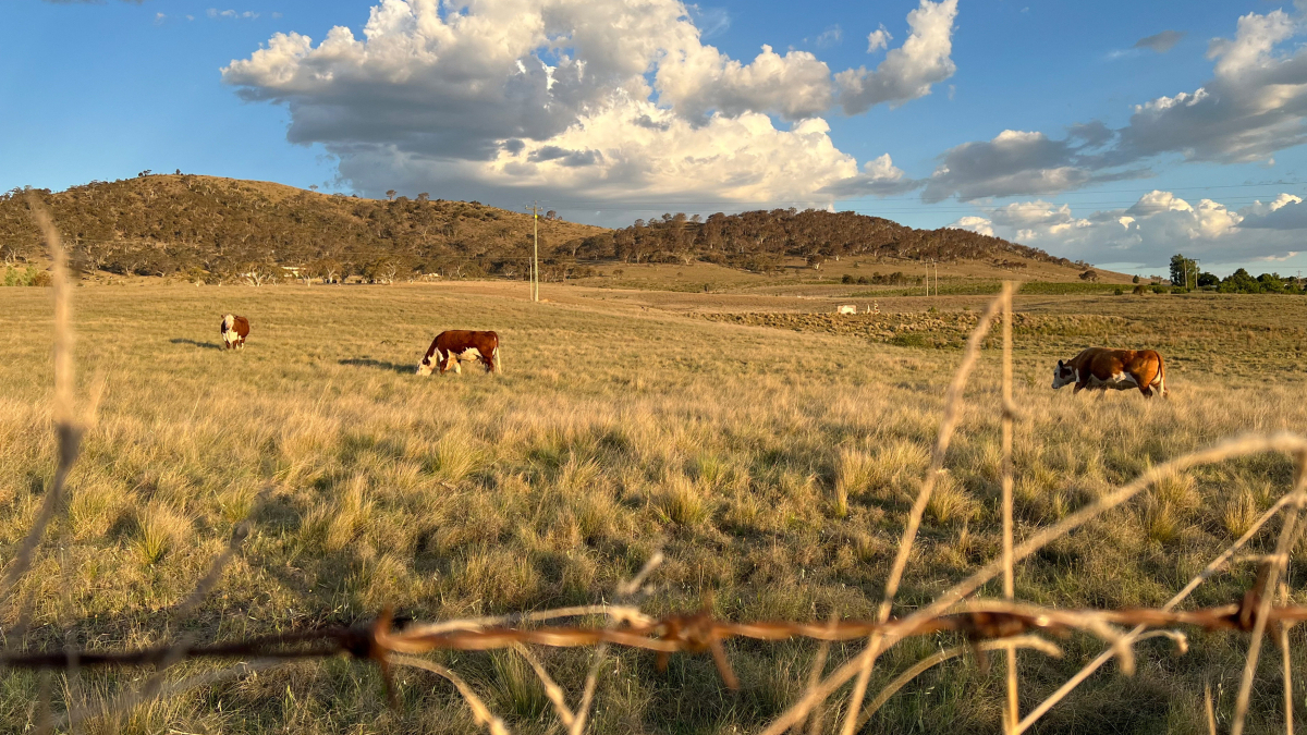 Australia warns El Niño could become strongest in decades