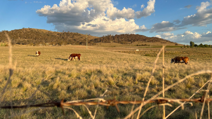 Australia warns El Niño could become strongest in decades