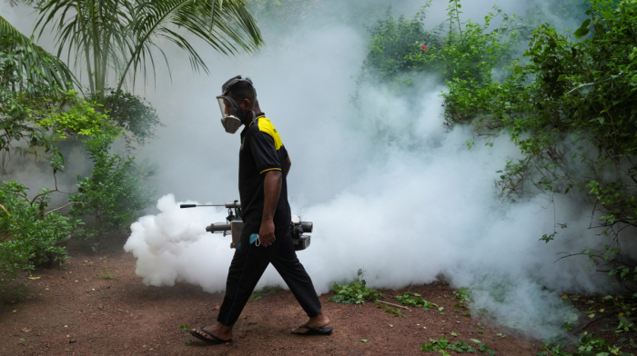 Sri Lanka dengue outbreak tops 44,000 cases this year