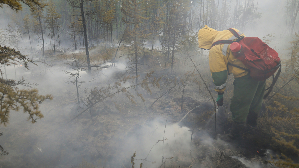 Wildfires engulf 133,000 hectares in Russia's Krasnoyarsk region