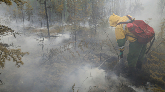 Wildfires engulf 133,000 hectares in Russia's Krasnoyarsk region