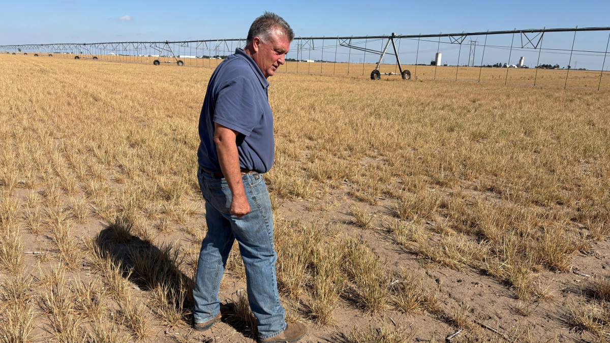 Trump suspends tariffs on Moroccan phosphate fertiliser to ease U.S. supply shortages