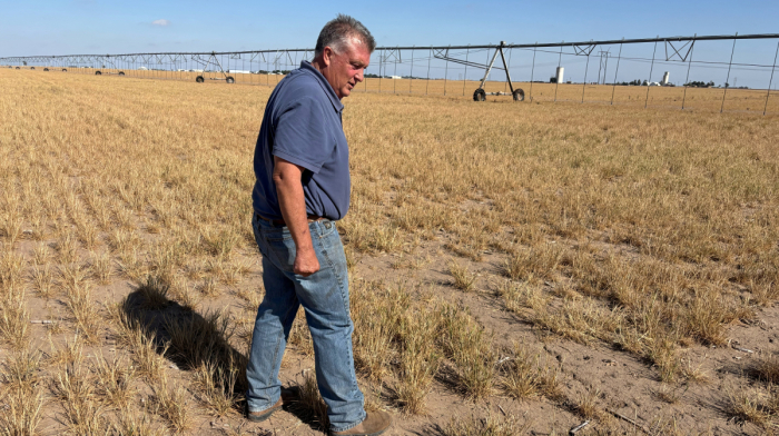 Trump suspends tariffs on Moroccan phosphate fertiliser to ease U.S. supply shortages