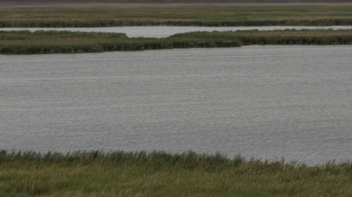Sudochye Lake: Saving a disappearing wetland in Uzbekistan