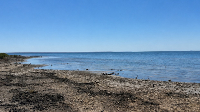 Dengizkul Lake: A unique refuge in the heart of Uzbekistan's desert