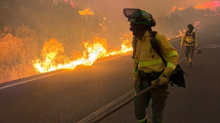 At least 12 killed in Spanish region's 'most devastating' fires to date