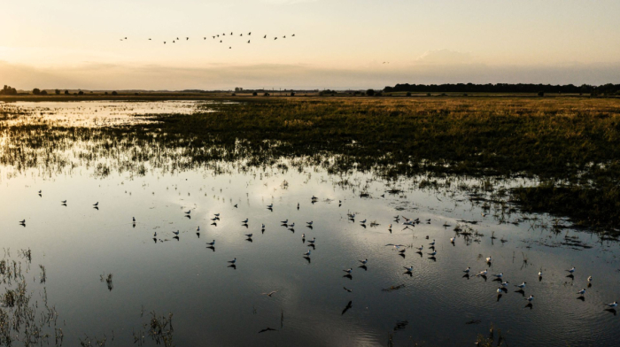 Hungary pumps millions of cubic metres of water into drought-hit UNESCO wetlands