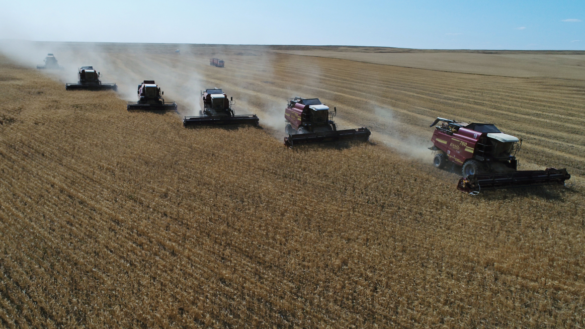 Kazakhstan grain harvest hit by drought as Black Sea risks threaten markets