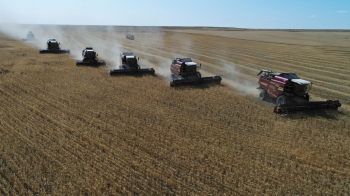 Kazakhstan grain harvest hit by drought as Black Sea risks threaten markets