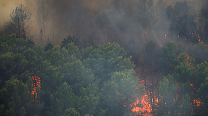 More than 10,000 evacuated as wildfire tears through southwestern France