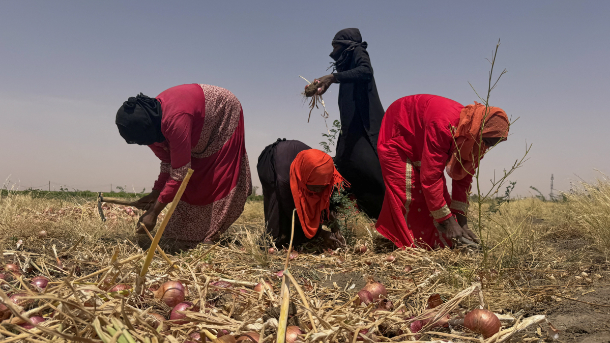 AfDB: Africa facing $10-$20 billion economic hit from 'super' El Niño