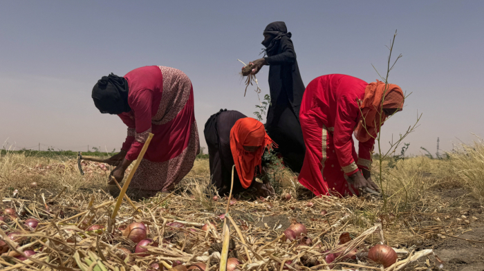 AfDB: Africa facing $10-$20 billion economic hit from 'super' El Niño