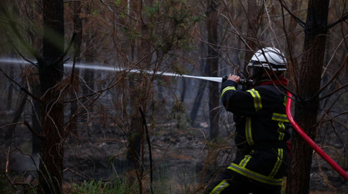 Wildfires close in on Bordeaux as Macron convenes emergency meeting