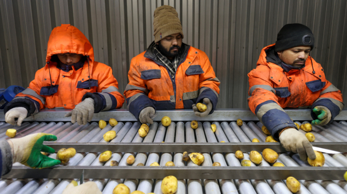 Putin signs tougher financial rules for migrant workers in Russia