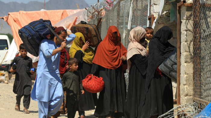 Afghan refugees avoid healthcare in Pakistan over deportation fears, MSF warns
