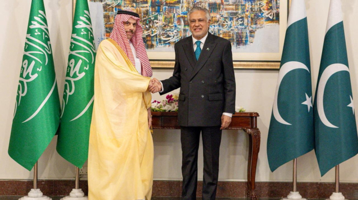 Pakistan, Saudi Arabia back Jordan's call for Arab-Islamic talks on Palestine