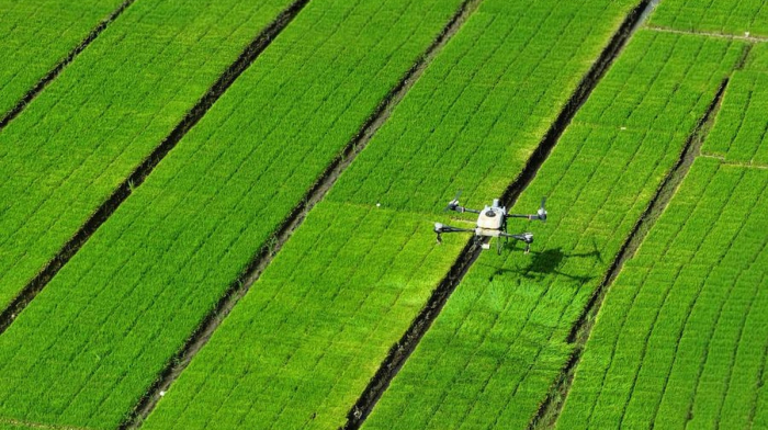 China boosts agriculture with AI and smart farming technologies