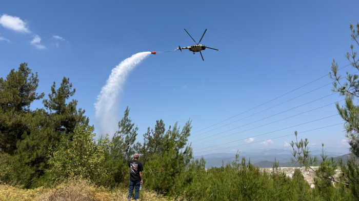Six arrested as Türkiye investigates dozens of wildfire arson cases