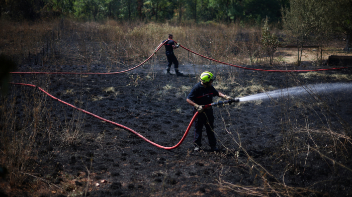 France’s record wildfires expose climate risks and political fault lines
