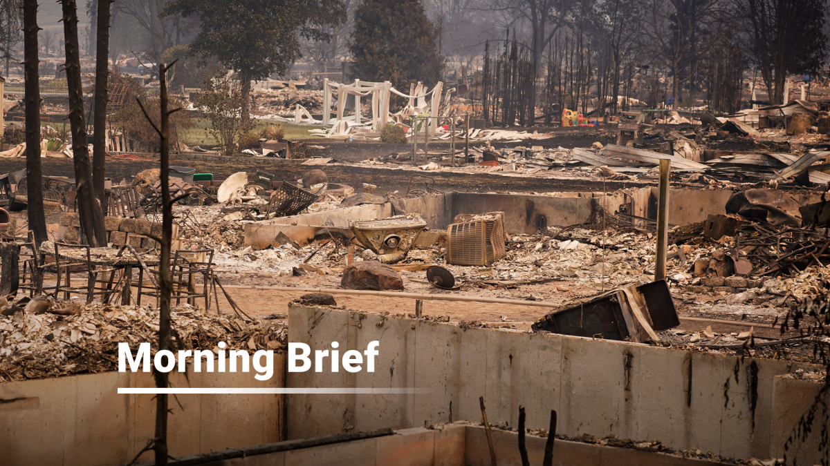Morning Brief - 4 August 2026