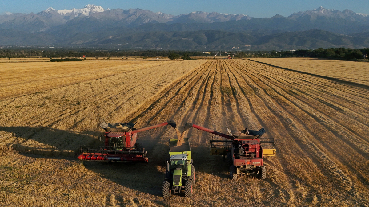 Russian Black Sea disruption could pressure Kazakhstan’s grain market