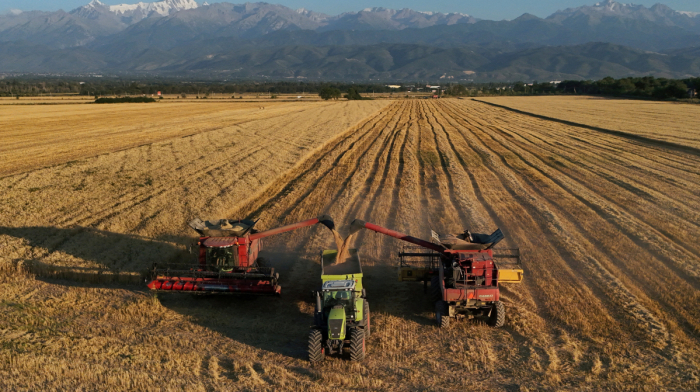 Russian Black Sea disruption could pressure Kazakhstan’s grain market