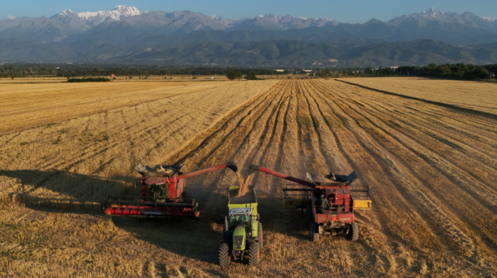 Russian Black Sea disruption could pressure Kazakhstan’s grain market